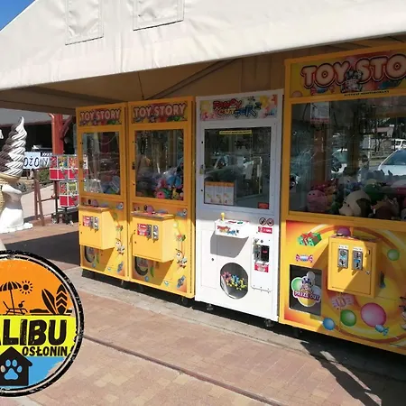 Domek Malibu *